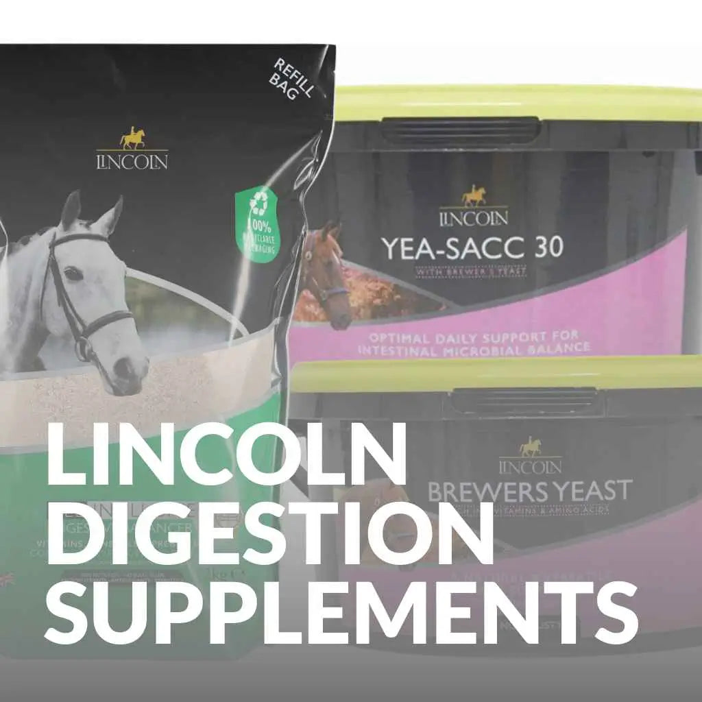 Buy Now: Lincoln Horse Digestion Supplements for Healthy Equines - just horse riders