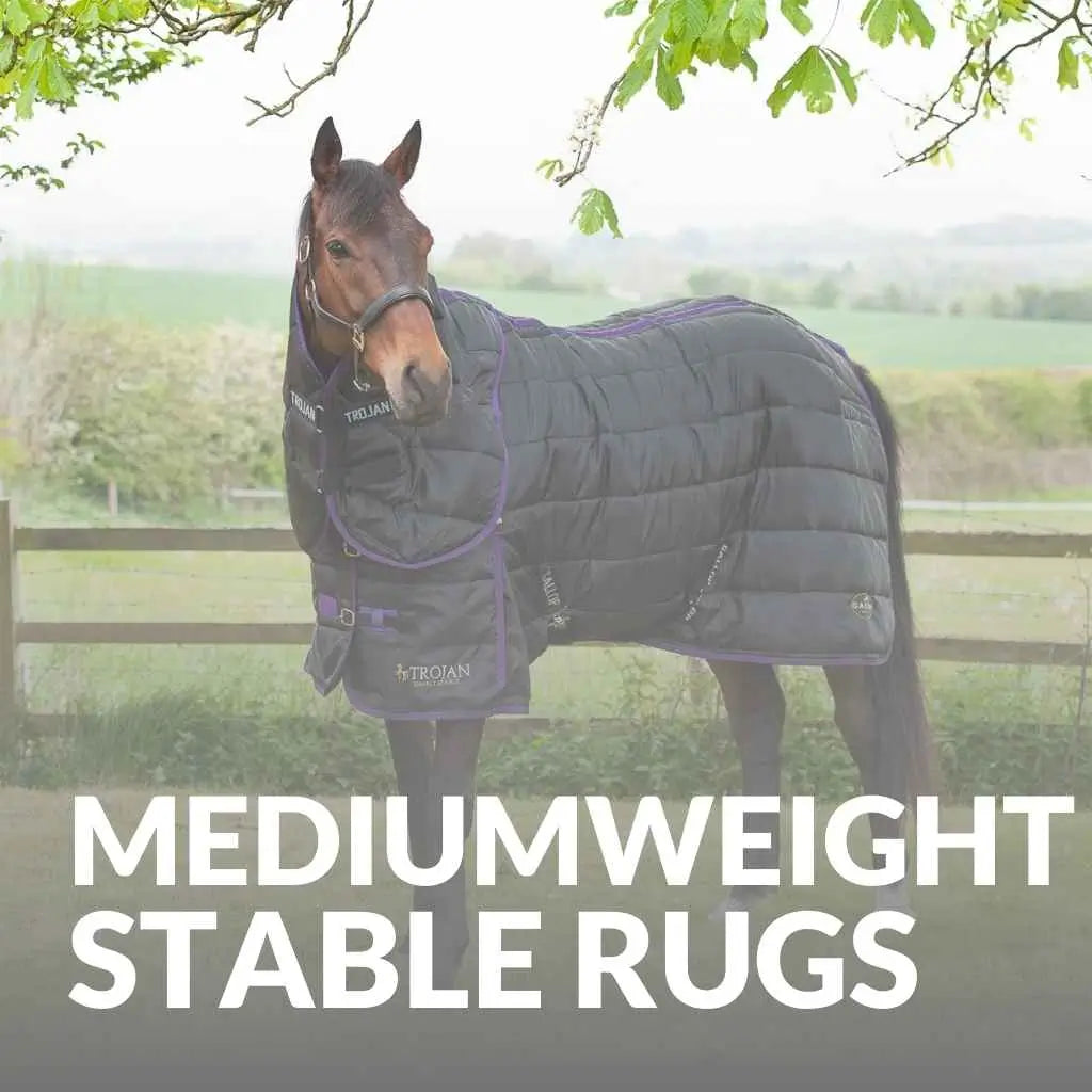 Mediumwight Horse Stable Rugs - just horse riders