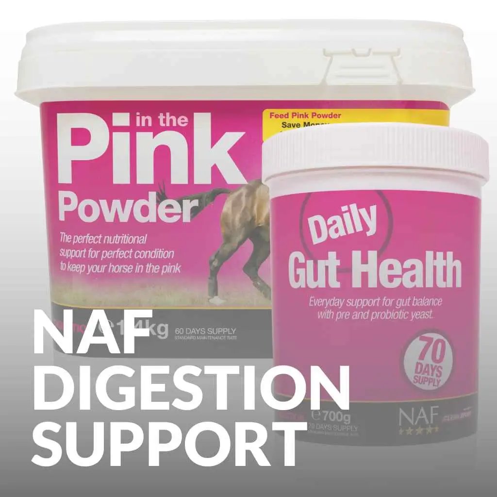 NAF Digestion Support: Revolutionize Your Horse’s Digestive Health! - just horse riders