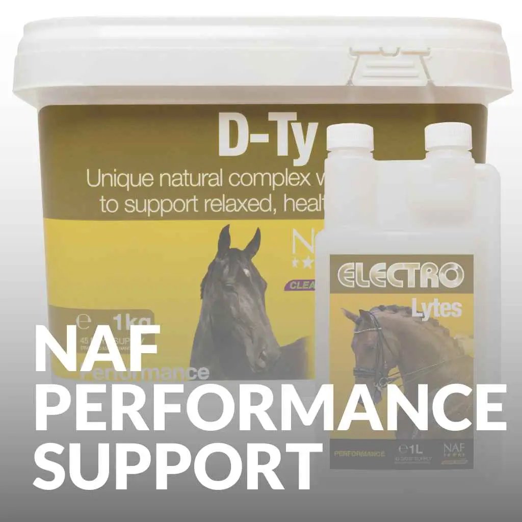 NAF Equestrian Performance Support: No Horseplay, Just Results! - just horse riders
