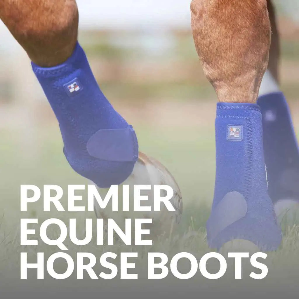 Premier Equine Horse Boots - Shop The Best Protection For Your Horse
