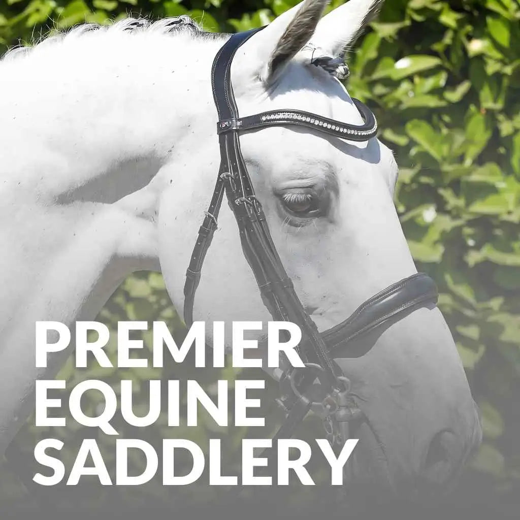 Comfort & Style: Premier Equine Saddlery Collection - Shop Today