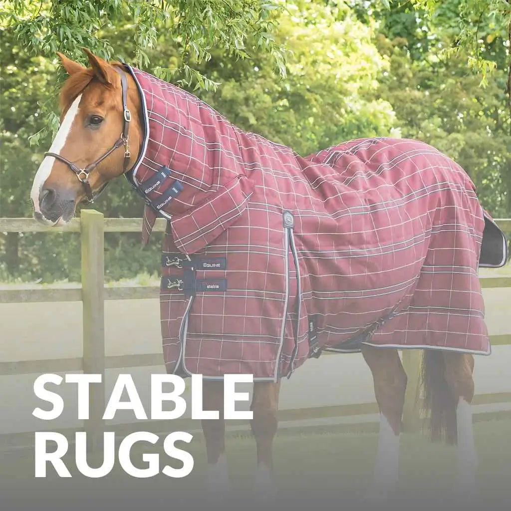 Top Premier Equine Stable Rugs - Keep Your Horse Warm, Buy Now