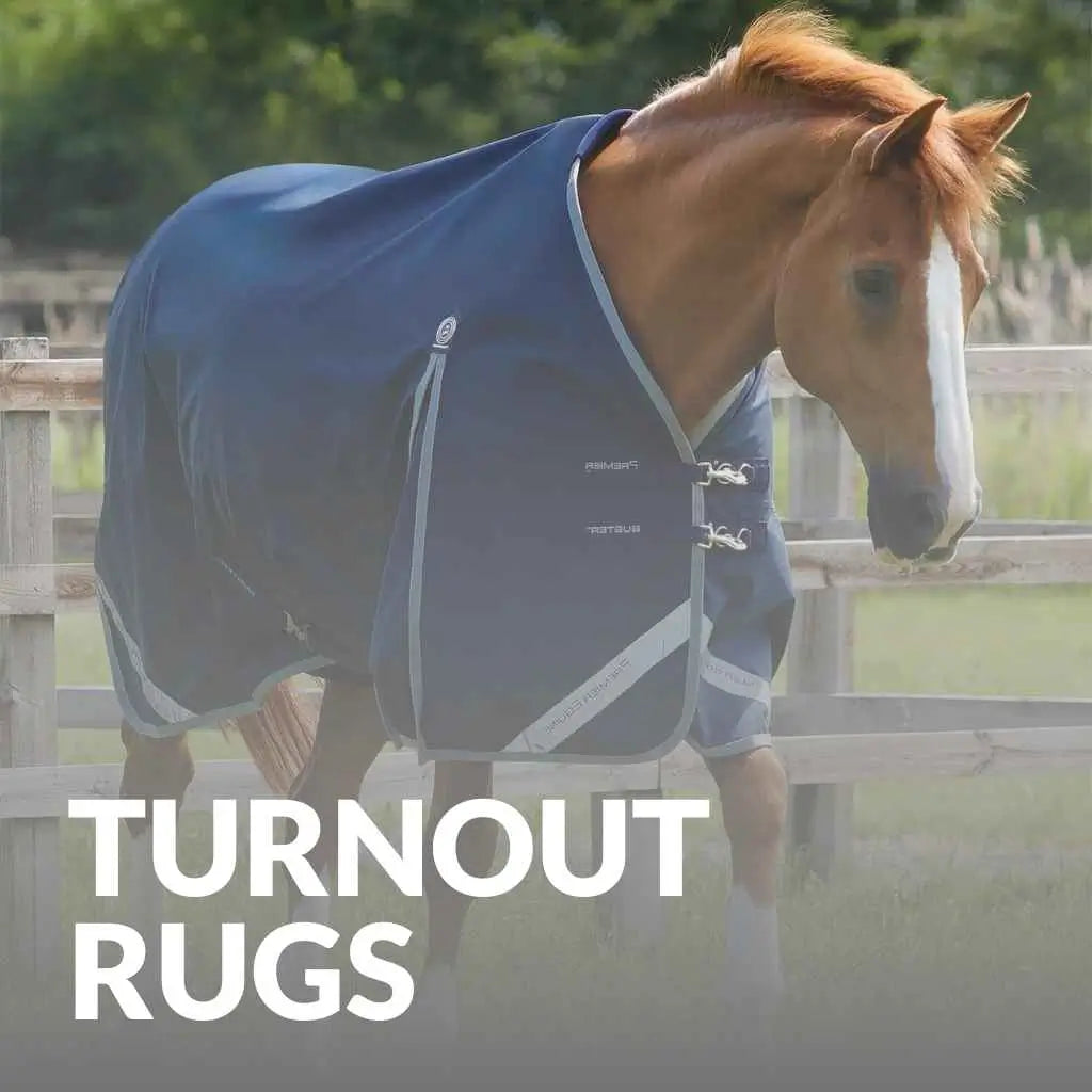 Shop Premier Equine Turnout Rugs - Quality Protection for Every Season