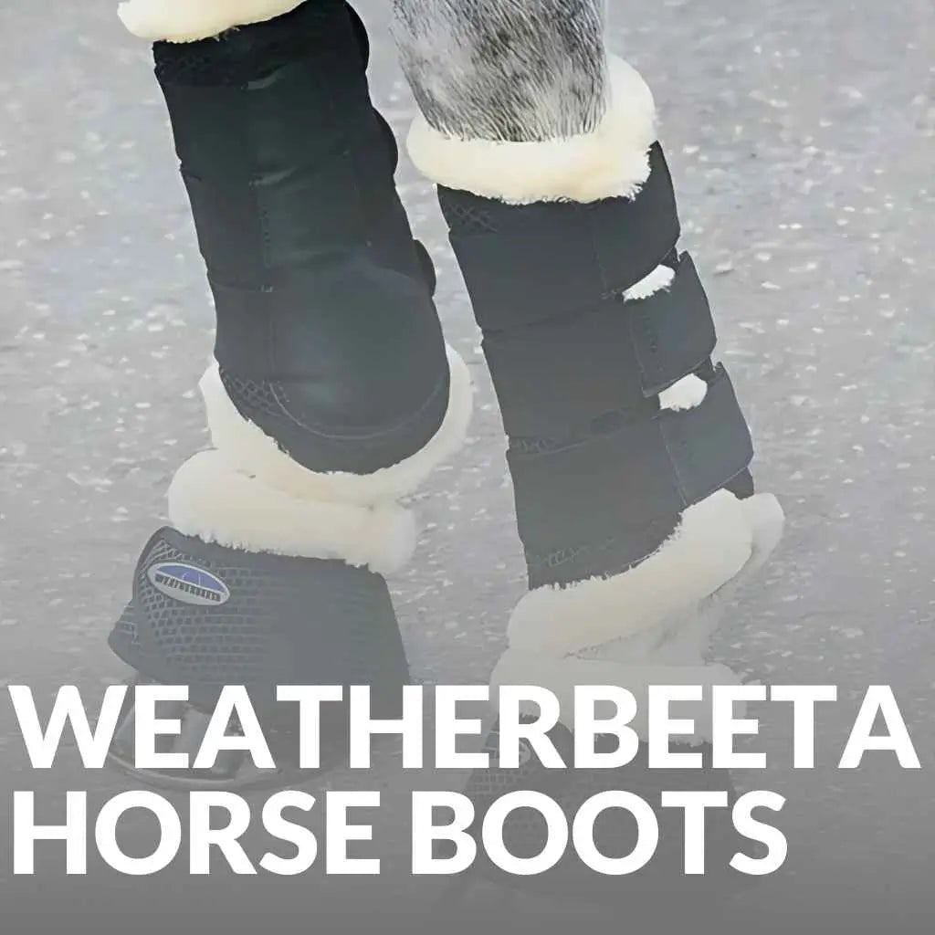 Weatherbeeta Boots & Bandages Collection - Shop Premium Horse Protection