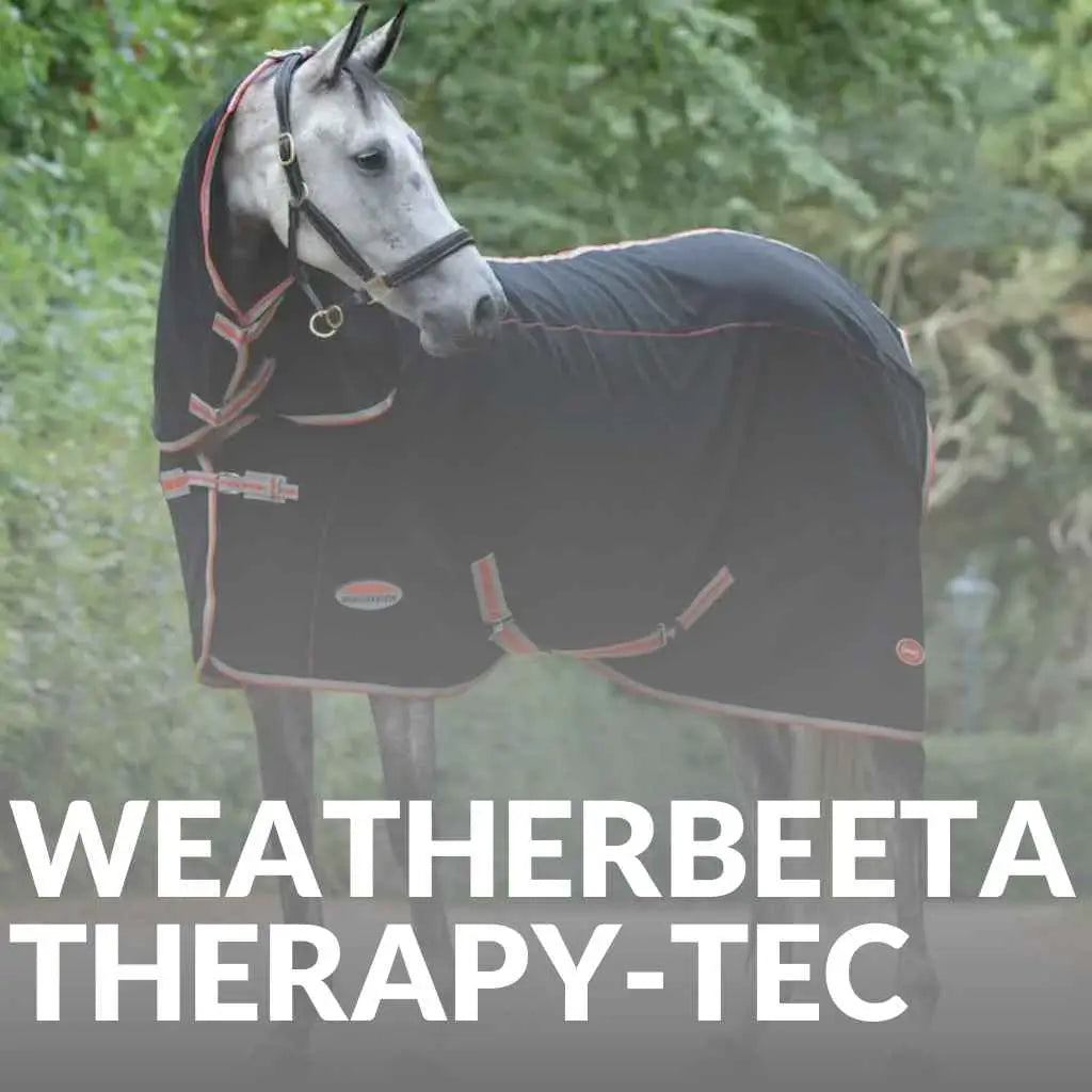 Boost Your Horse’s Comfort with Weatherbeeta Therapy-Tec Products – Shop Now