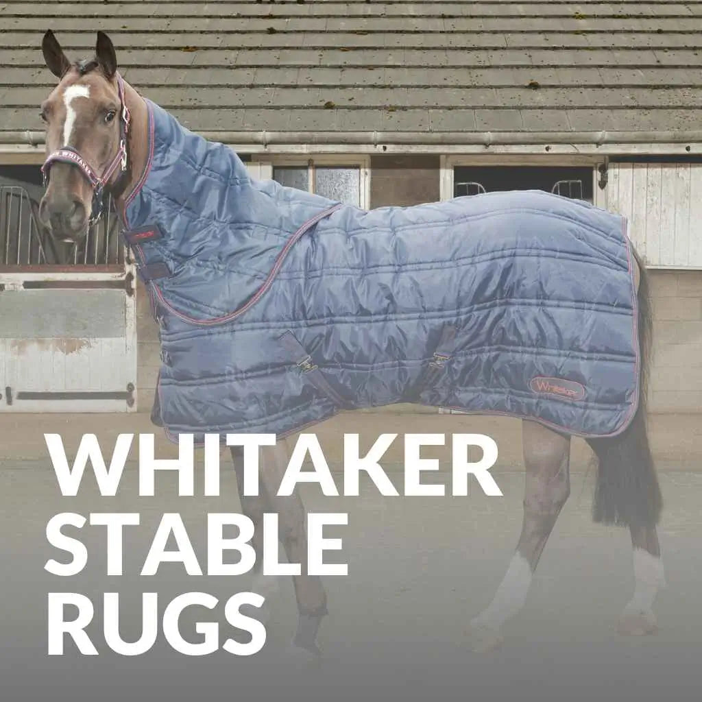 john whitaker stable rugs -just horse riders