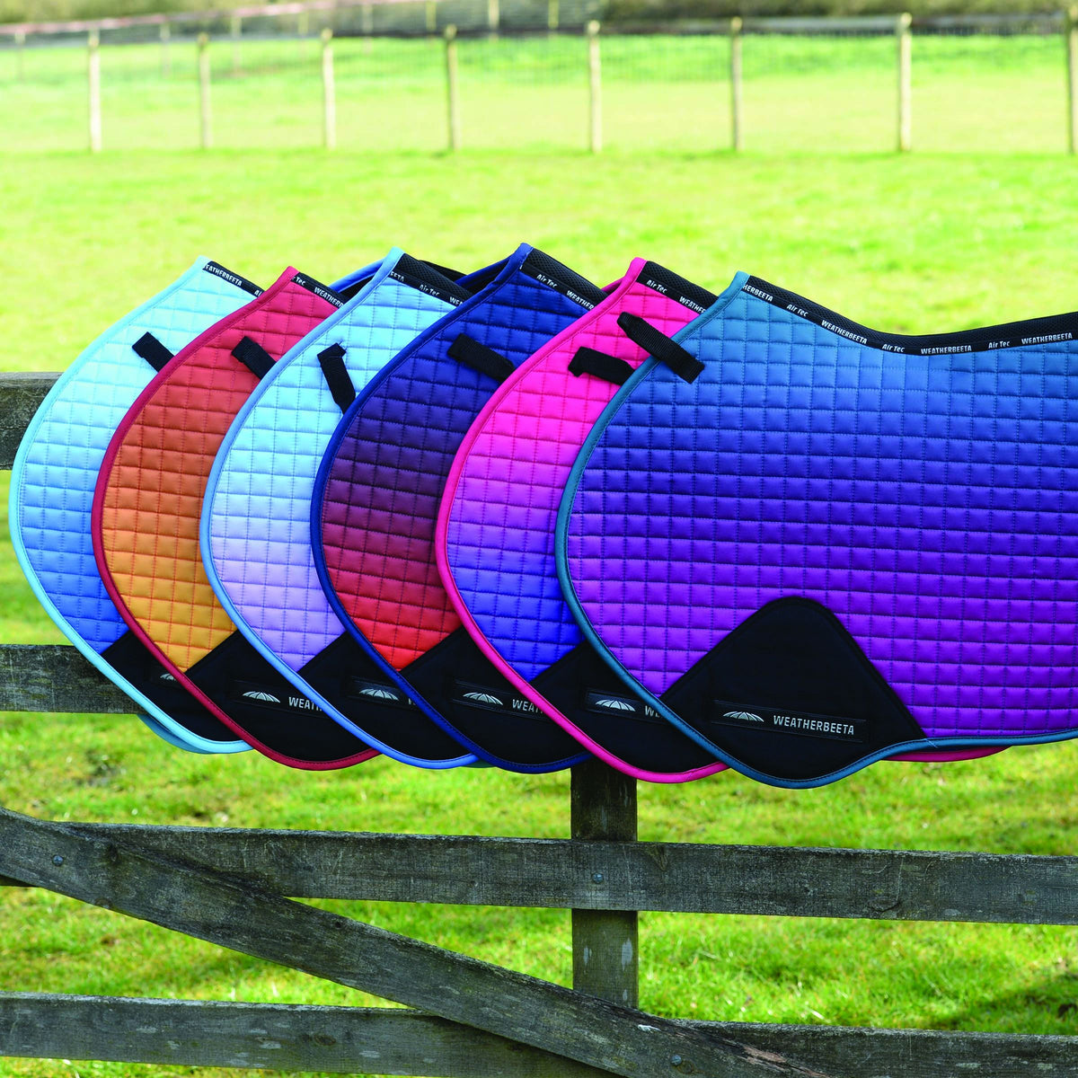 Saddlecloths & Numnahs Just Horse Riders