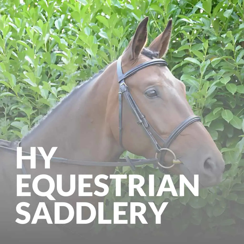 Premium HY Equestrian Saddlery – Shop Quality Bridles & Girths Now