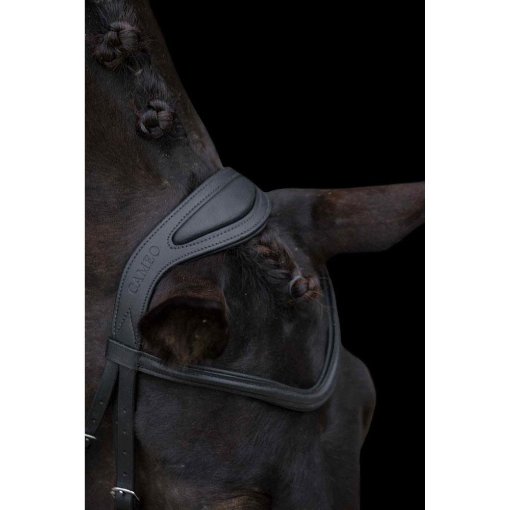 Raised & Padded Browband: Cameo Equine Anatomic Bridle with Flash - Just Horse Riders