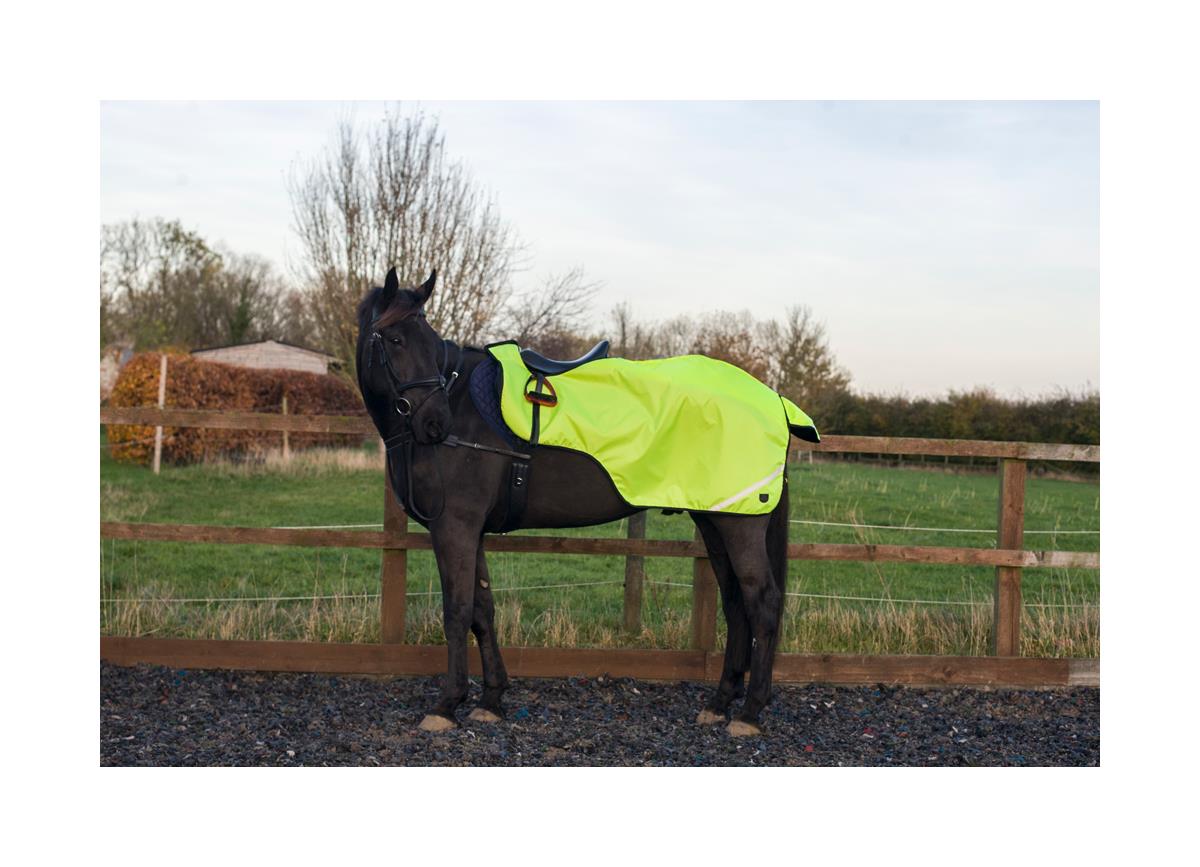 Cameo Equine Hi Viz Exercise Sheet - Waterproof, 360 Degree Reflective - Just Horse Riders