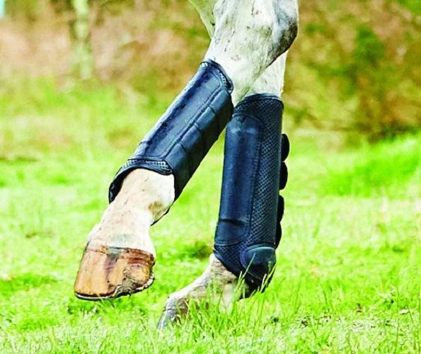 Weatherbeeta Cross Country Boots Hind - Just Horse Riders