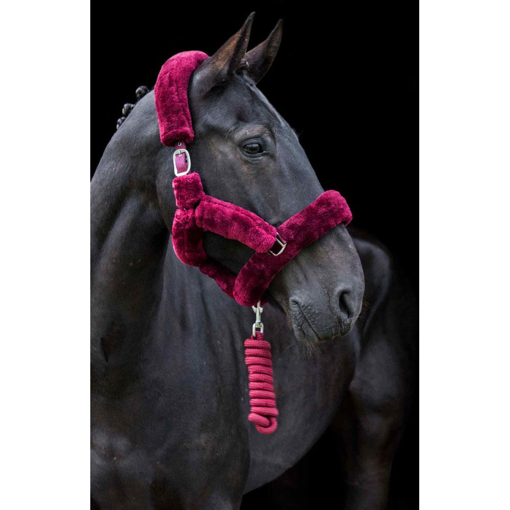 Cameo Equine Deluxe Headcollar - Supersoft & No Rust Fittings in Multiple Colors - Just Horse Riders