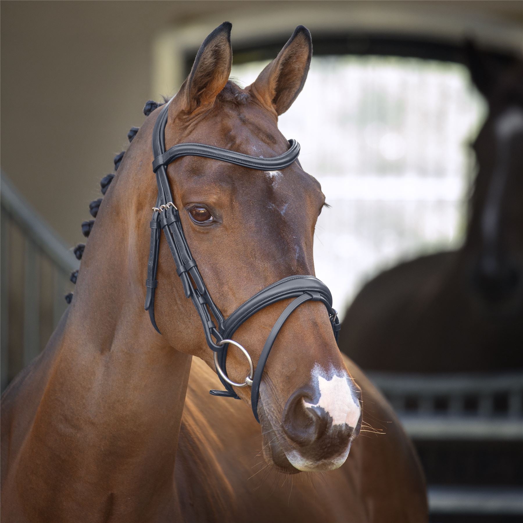 Lusso Padded Raised Flash Bridle - Just Horse Riders