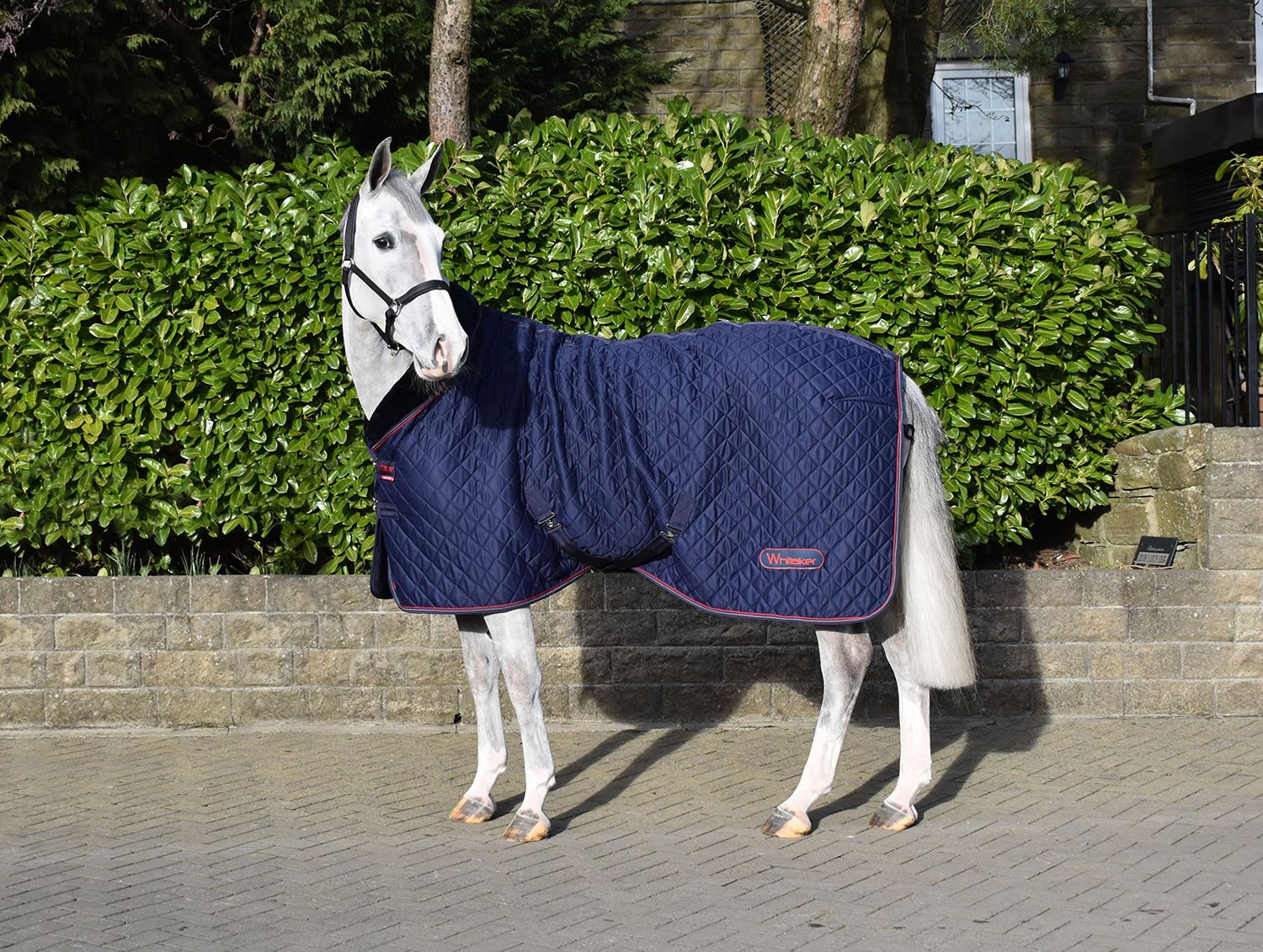 Whitaker Rastrick Cosy Stable Rug - Just Horse Riders