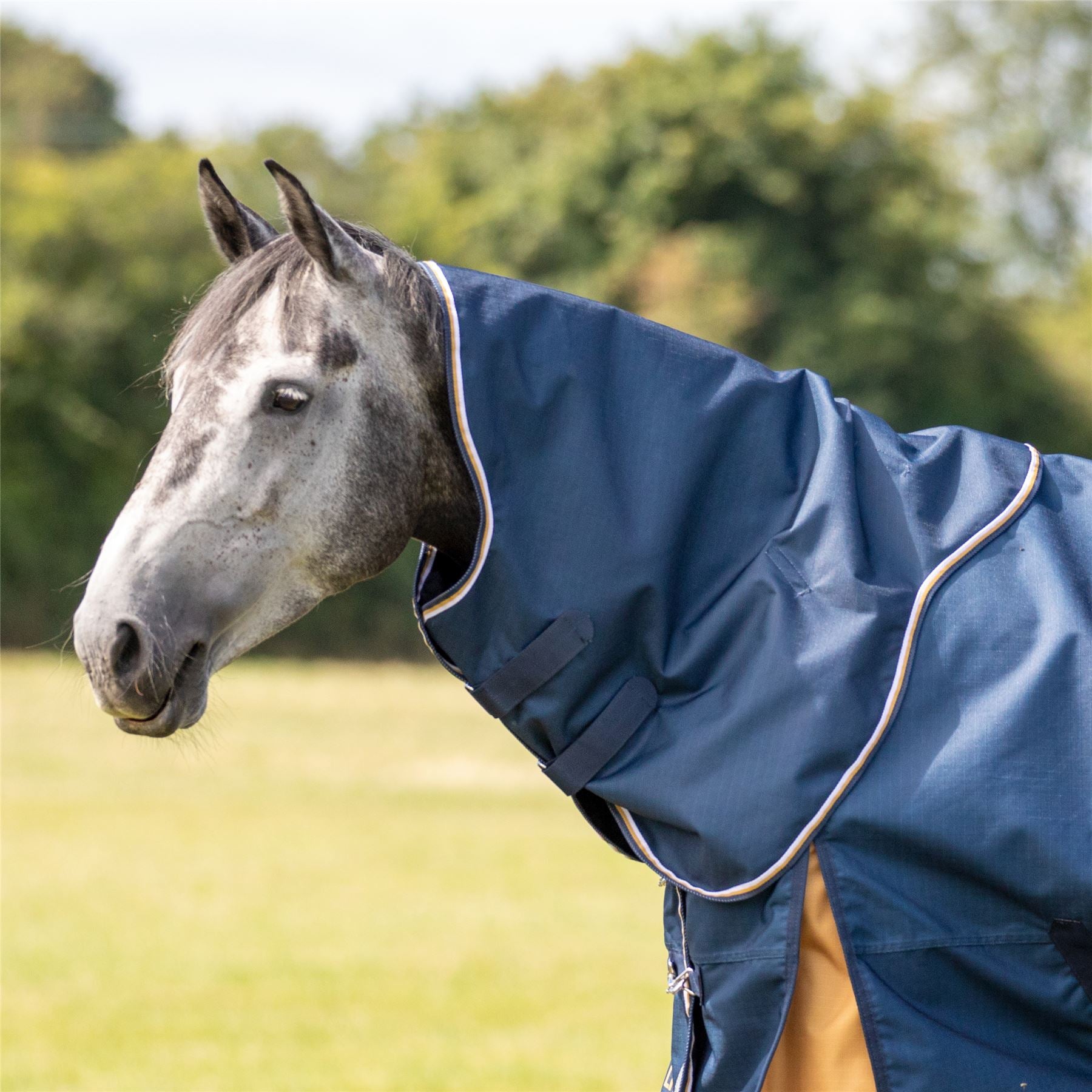 Highlander Plus Lite T/O Rug Neck Cover - Just Horse Riders