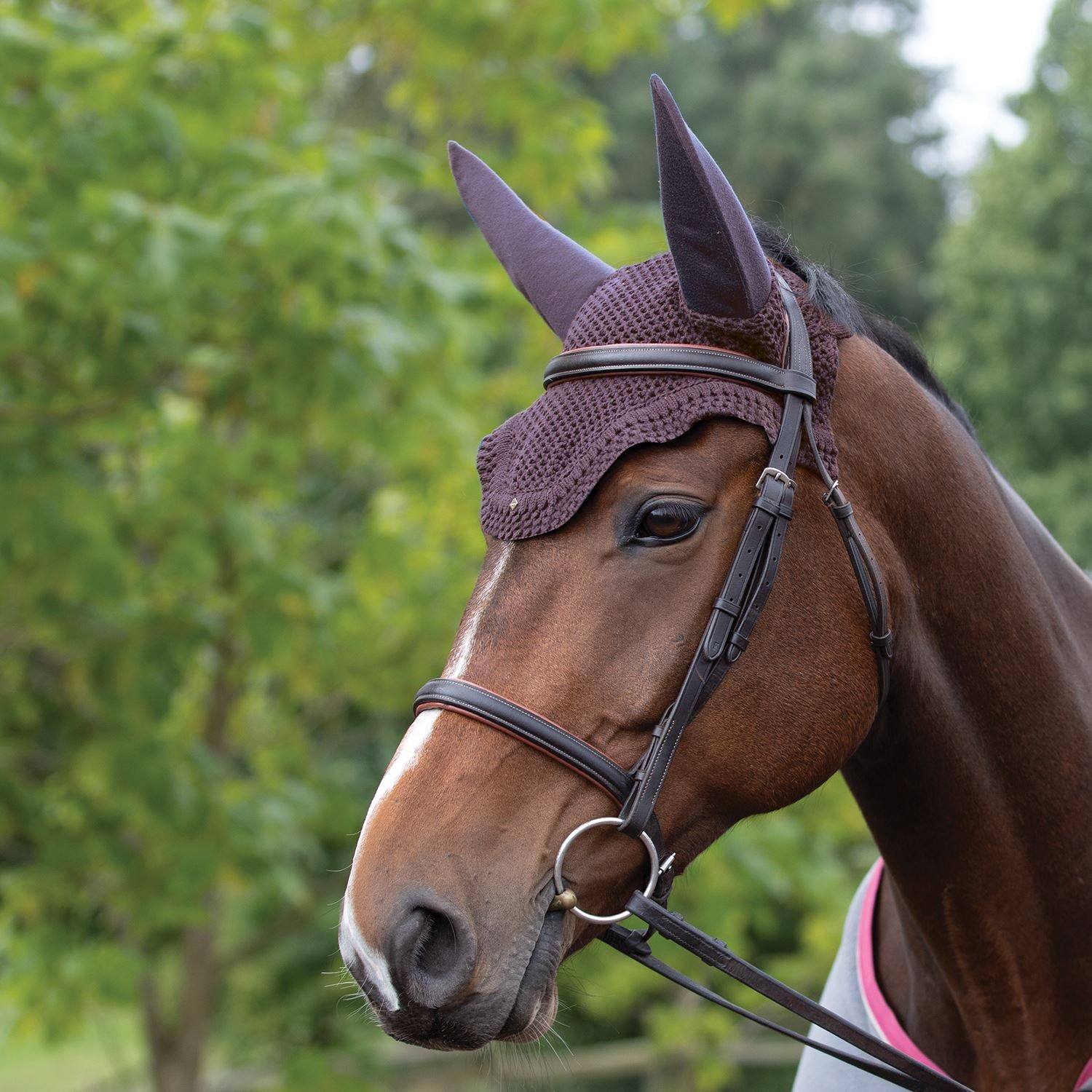 Equetech Horse Soundless Ear Net Hood - Just Horse Riders