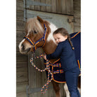 Cameo Equine Quality Padded Headcollar & Strong Leadrope - Comfortable & Stylish - Just Horse Riders
