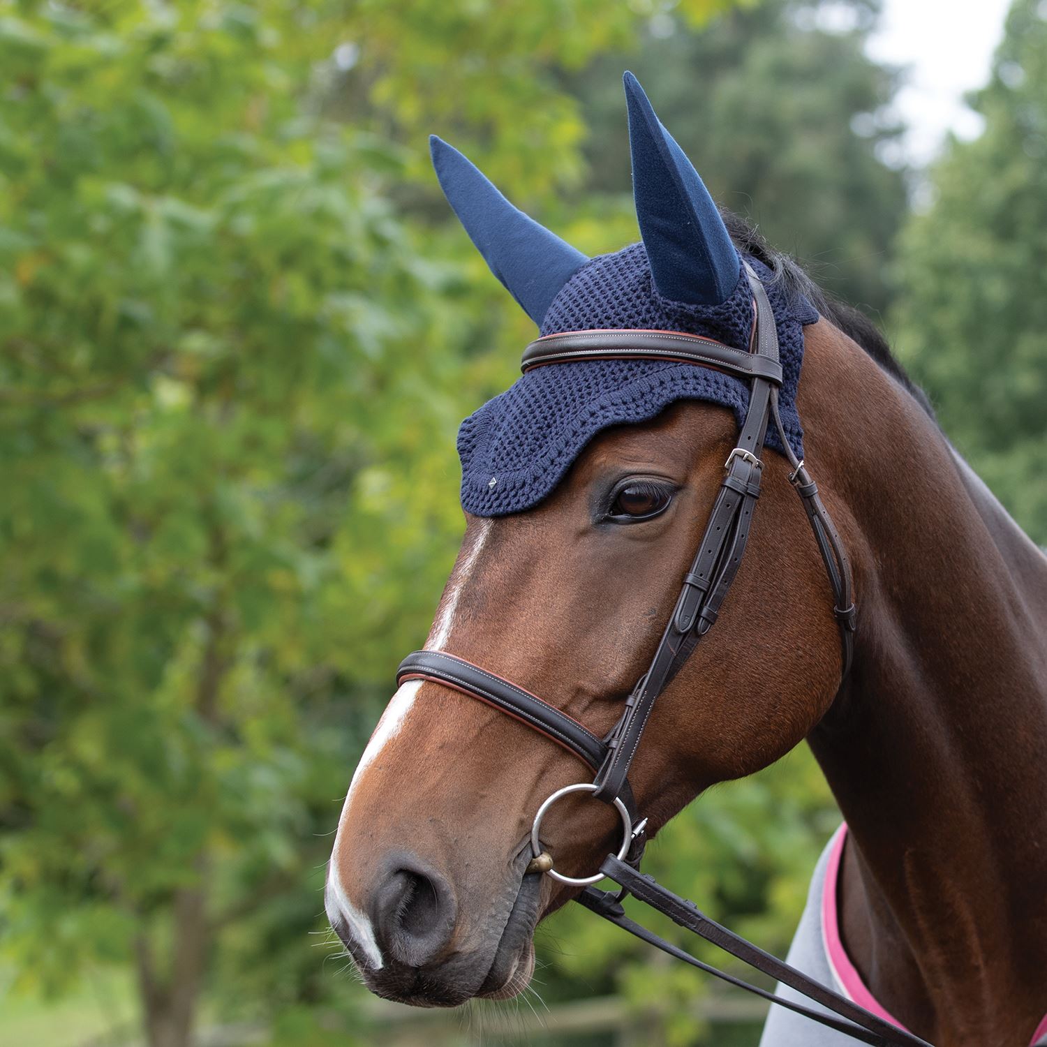 Equetech Horse Soundless Ear Net Hood - Just Horse Riders