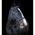 Raised & Padded Browband: Cameo Equine Anatomic Bridle with Flash - Just Horse Riders