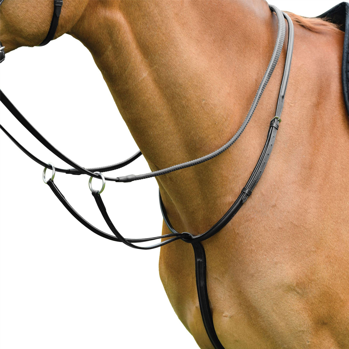 Martingale pour cheval élastique Dy'on NE coll - Marron - Cob