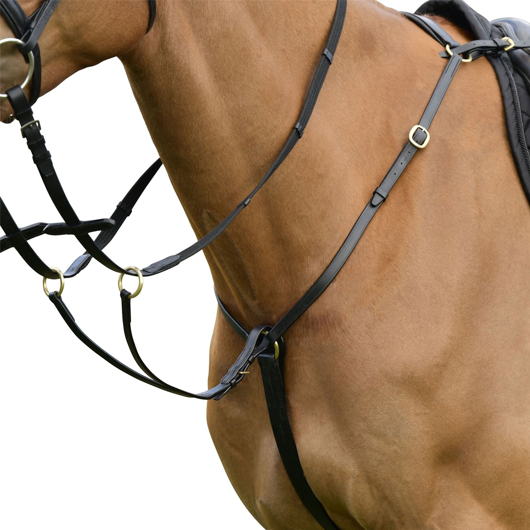 Breastplate Cuir Anglais – NEUF – Avec Attache Martingale De Course – Fabriqué Inde