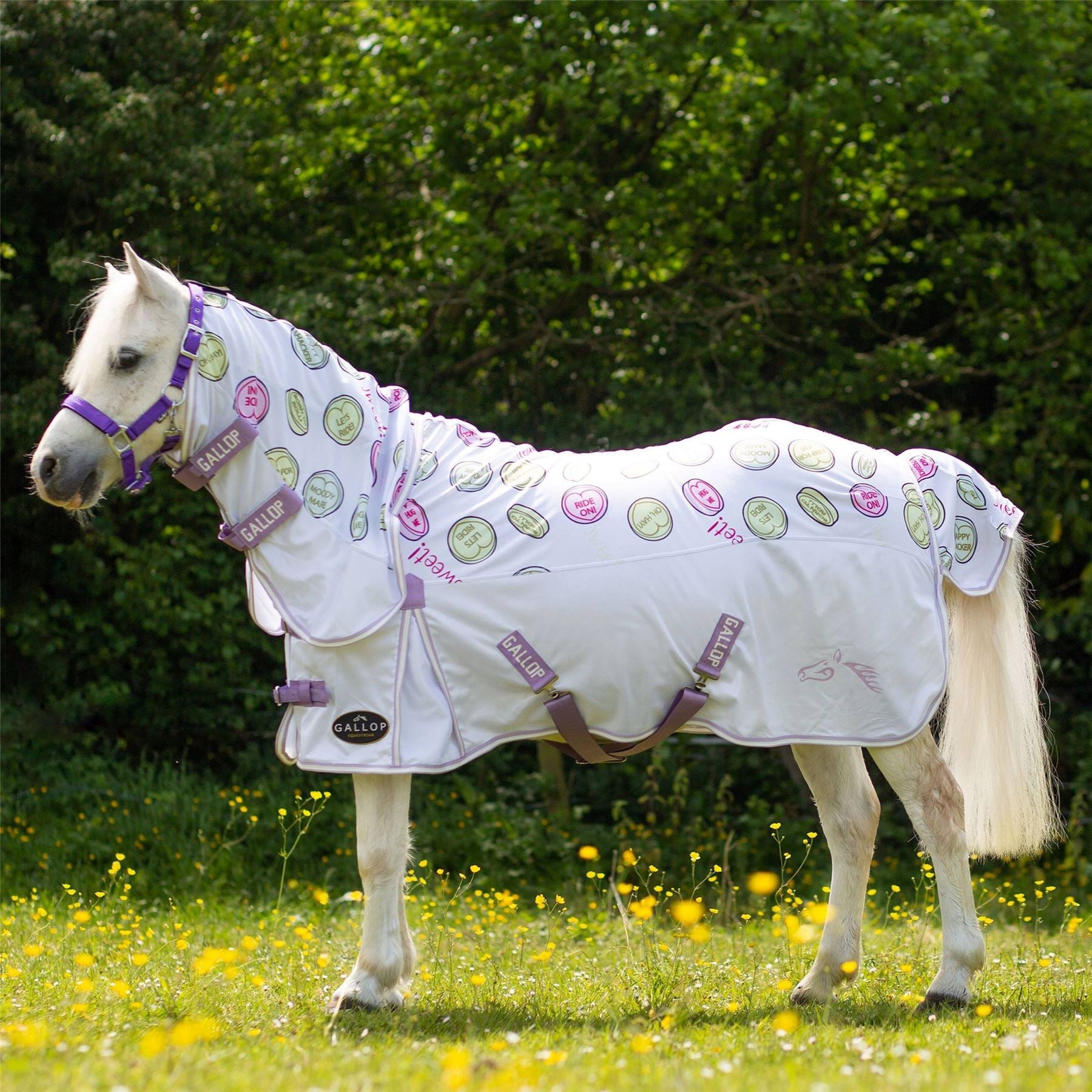 Gallop Equestrian Ponie Sweet Treats Combo Fly Rug - Just Horse Riders