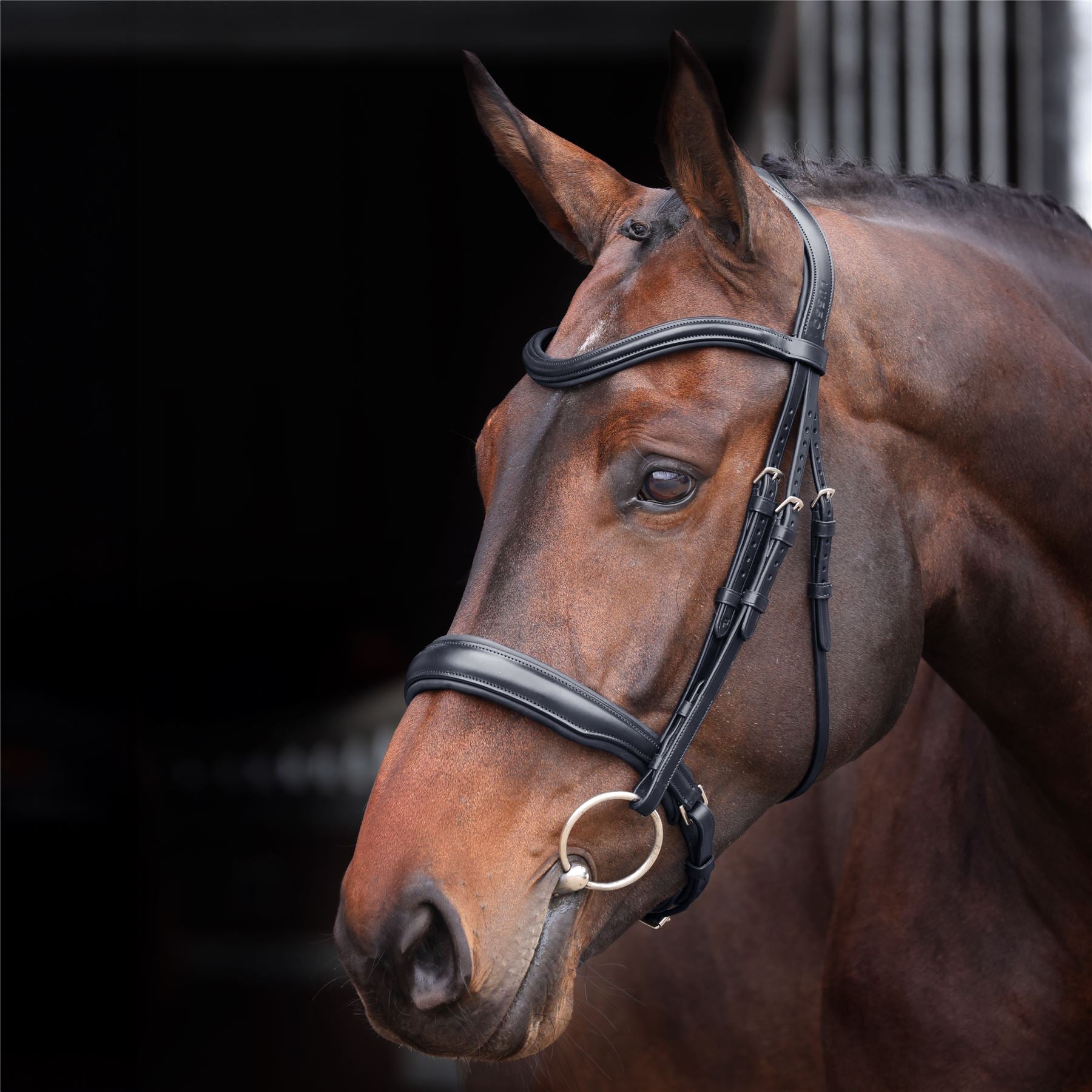Shires Lusso Elite Padded Cavesson Bridle - Just Horse Riders