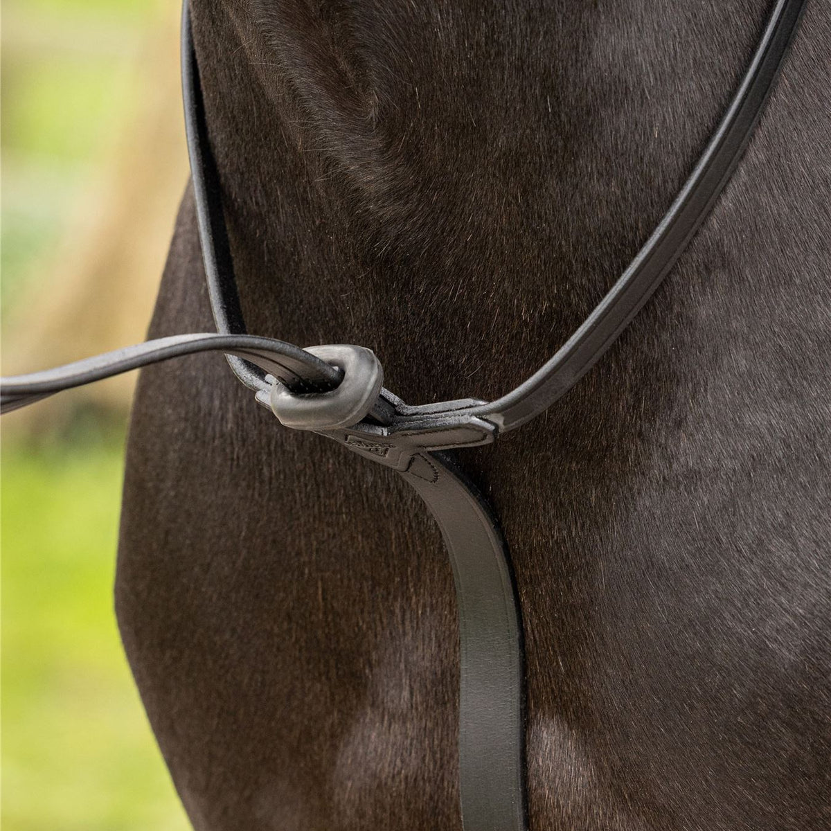 Martingale avec protection de poitrail havana/argent Cheval