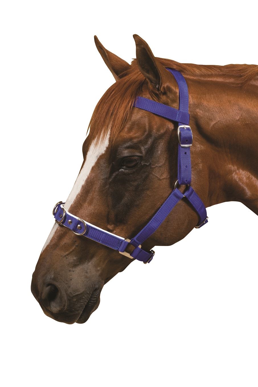 Kincade Nylon Padded Lunge Cavesson - Just Horse Riders