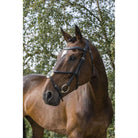 Eco Rider Grackle Bridle - Beautiful & Comfortable Stylish & Pressure-Relieving - Just Horse Riders