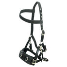 Cameo Equine Professional Lunge Cavesson Detachable Bit Straps Comfortable - Just Horse Riders