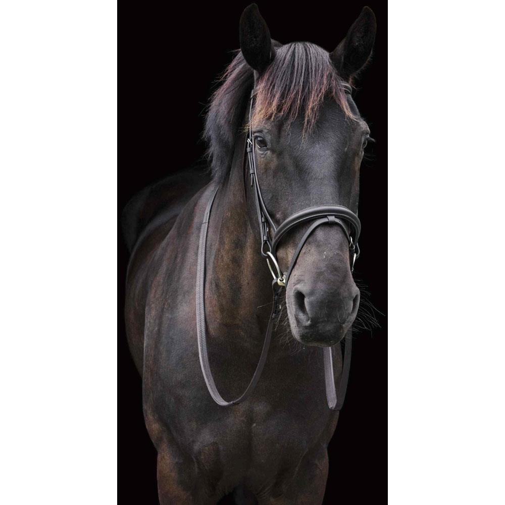 Cameo Equine Classic Padded Bridle Elegant & Versatile Complete w/ Rubber Reins - Just Horse Riders