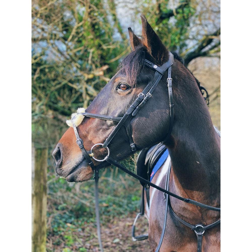 Eco Rider Grackle Bridle - Beautiful & Comfortable Stylish & Pressure-Relieving - Just Horse Riders