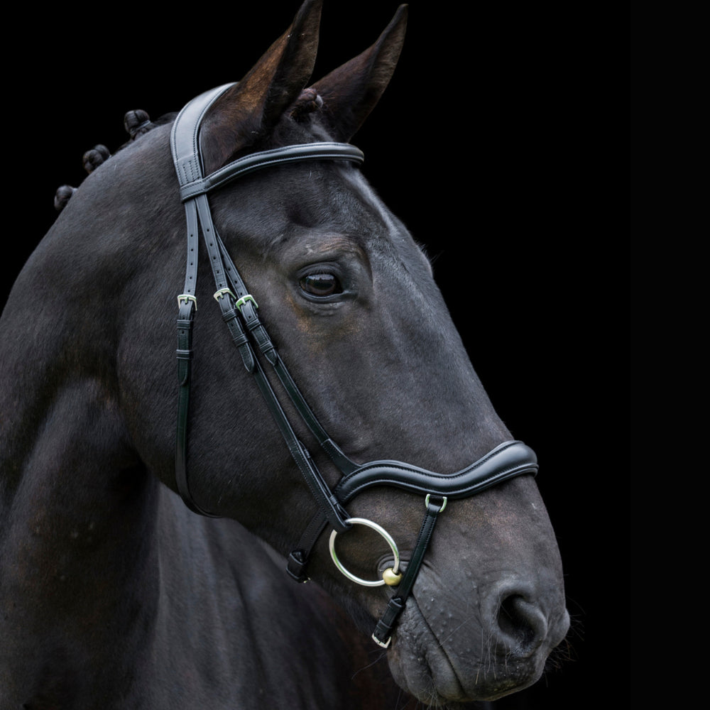 Eco Rider Ecosoft Finesse Bridle - Supple Eco Leather with Anatomic Design - Just Horse Riders