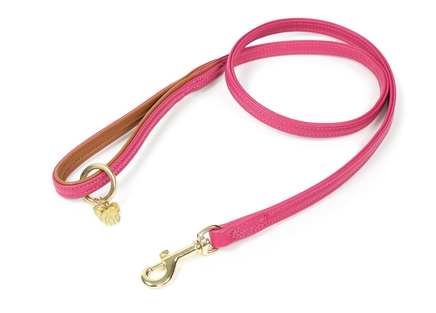 Shires Digby & Fox Padded Leather Dog Lead - Just Horse Riders