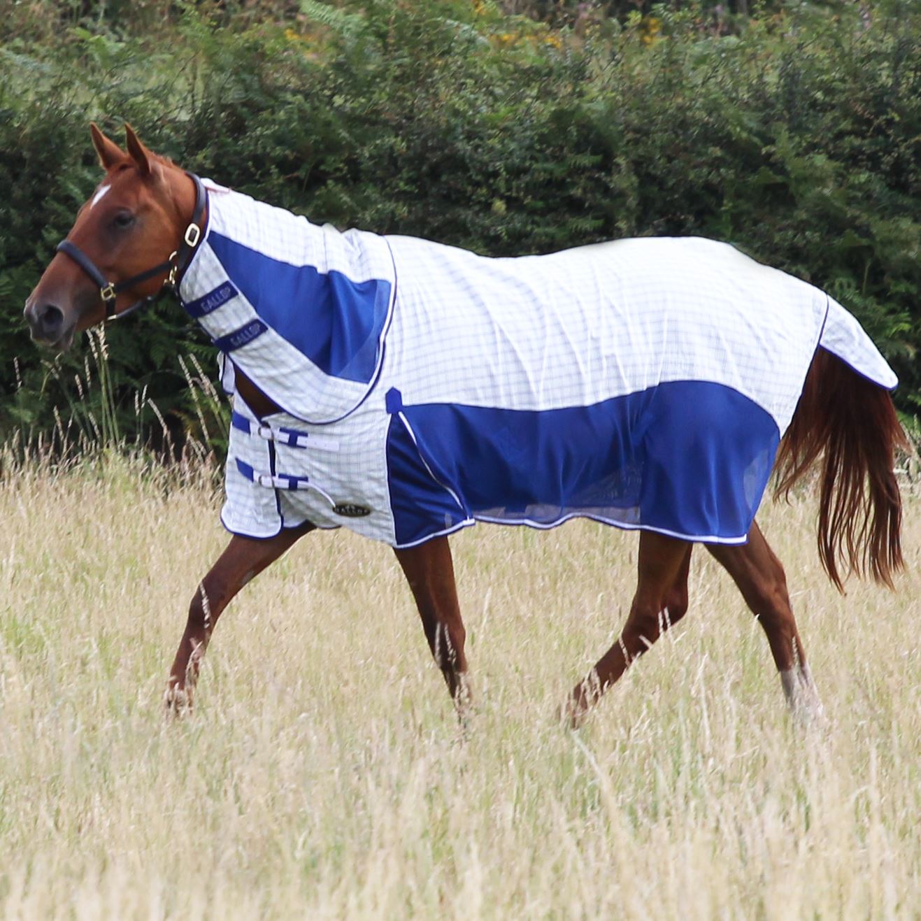 Gallop Equestrian Air Mesh Summer Sheet Combo - Just Horse Riders