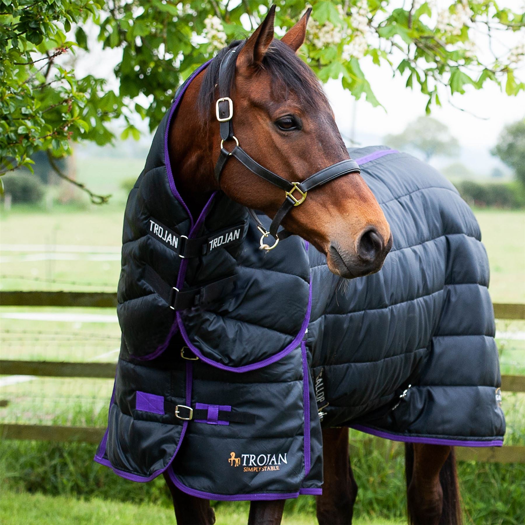 Gallop Equestrian Trojan Dual 200 Stable Rug & Neck Set - Just Horse Riders