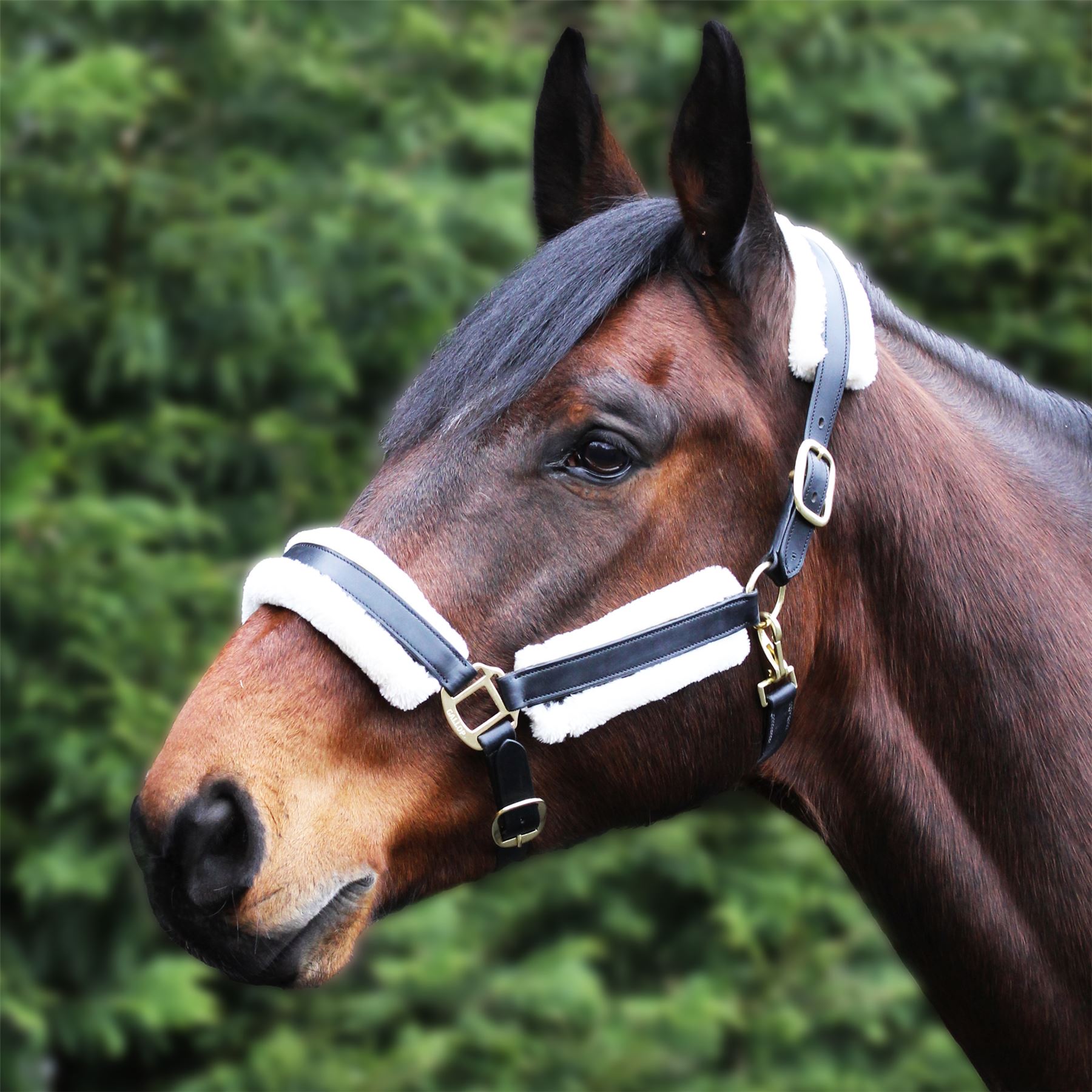 Gallop Equestrian Prestige Faux Fur Leather Headcollar - Just Horse Riders
