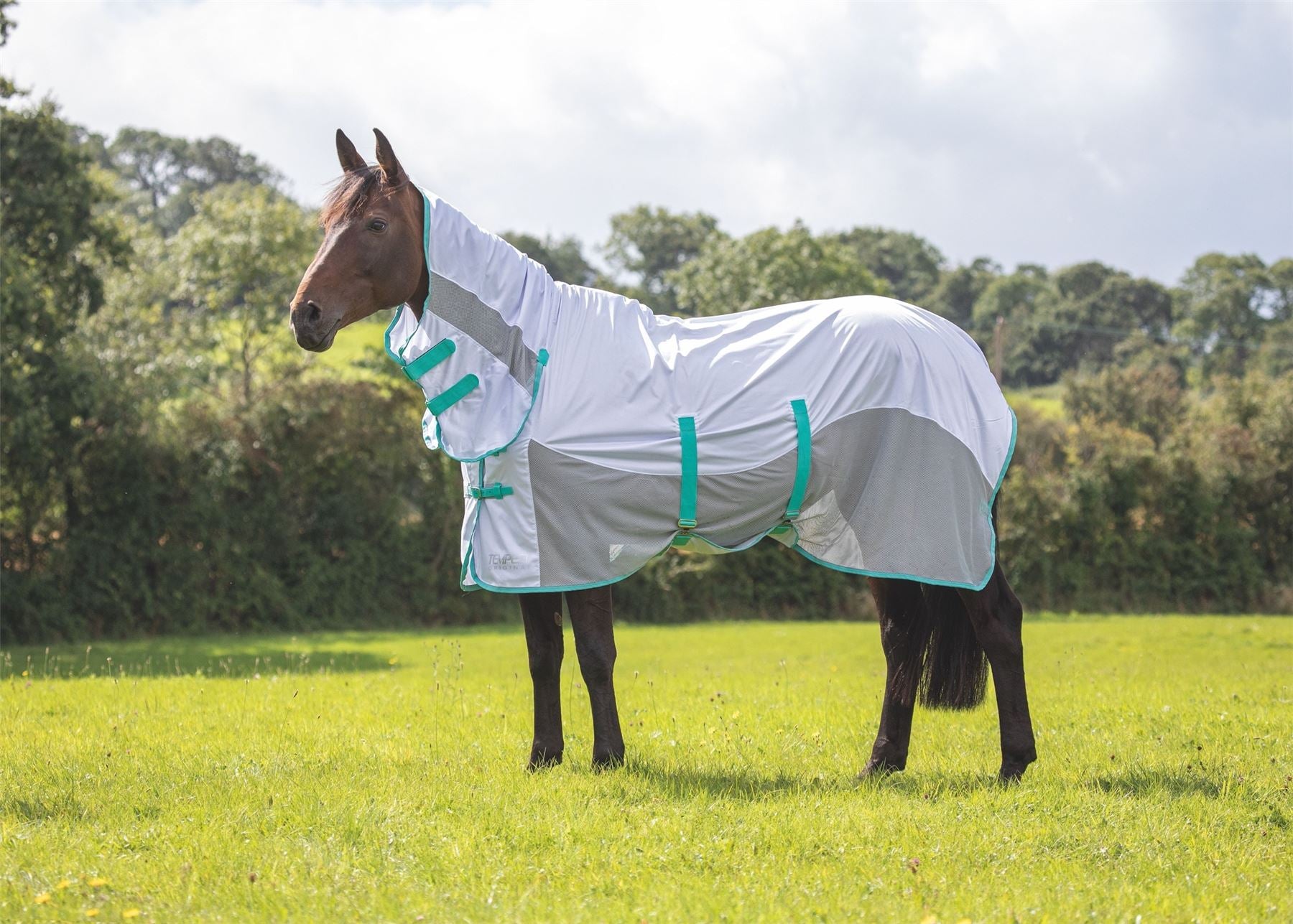 Shires Tempest Original Fly Mesh Combo - Just Horse Riders
