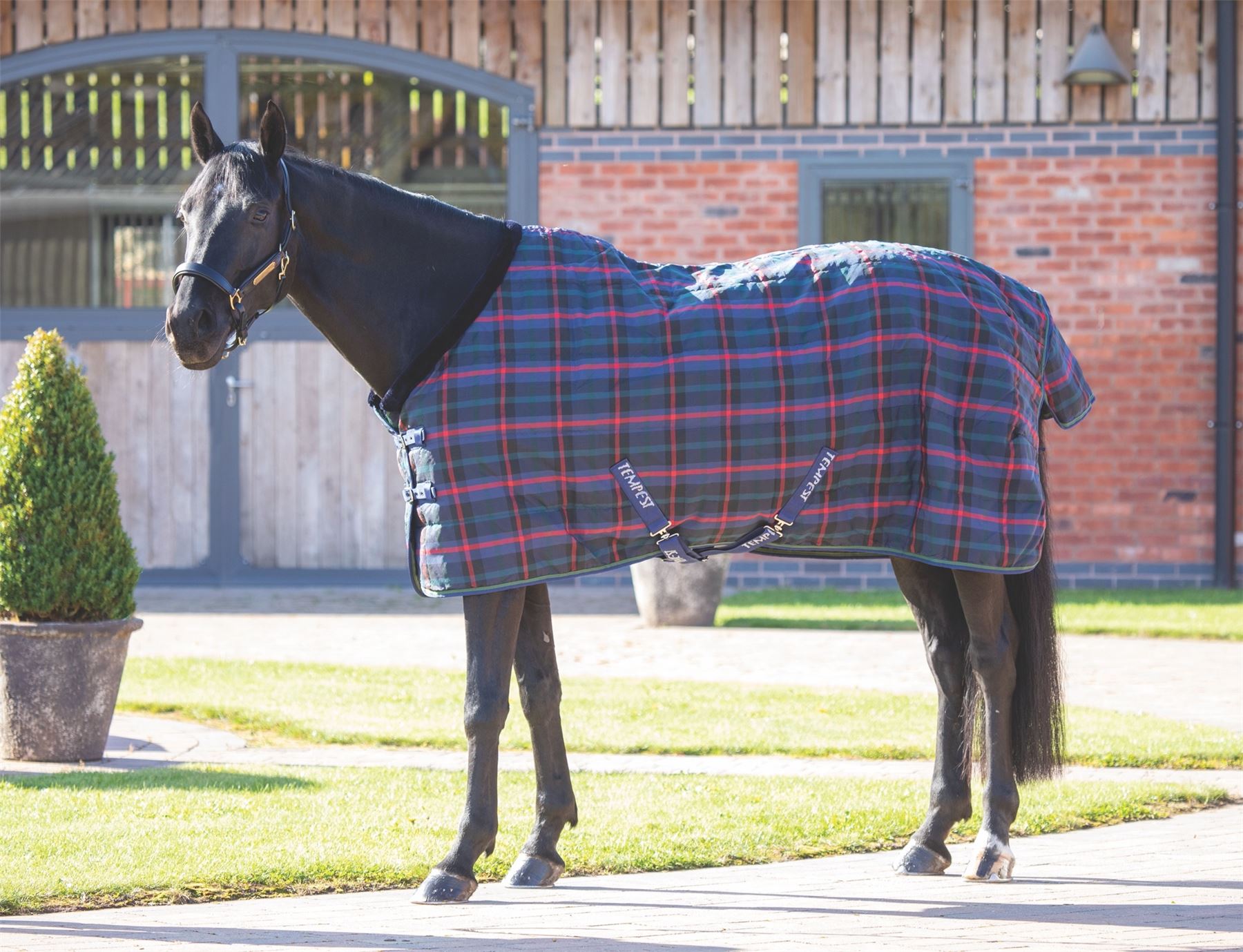 Shires Tempest Plus 100 Stable Rug - Just Horse Riders