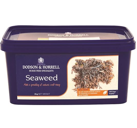 Dodson & Horrell Seaweed - Just Horse Riders