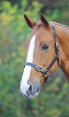 Shires Blenheim Fully Adjustable Leather Headcollar - Just Horse Riders