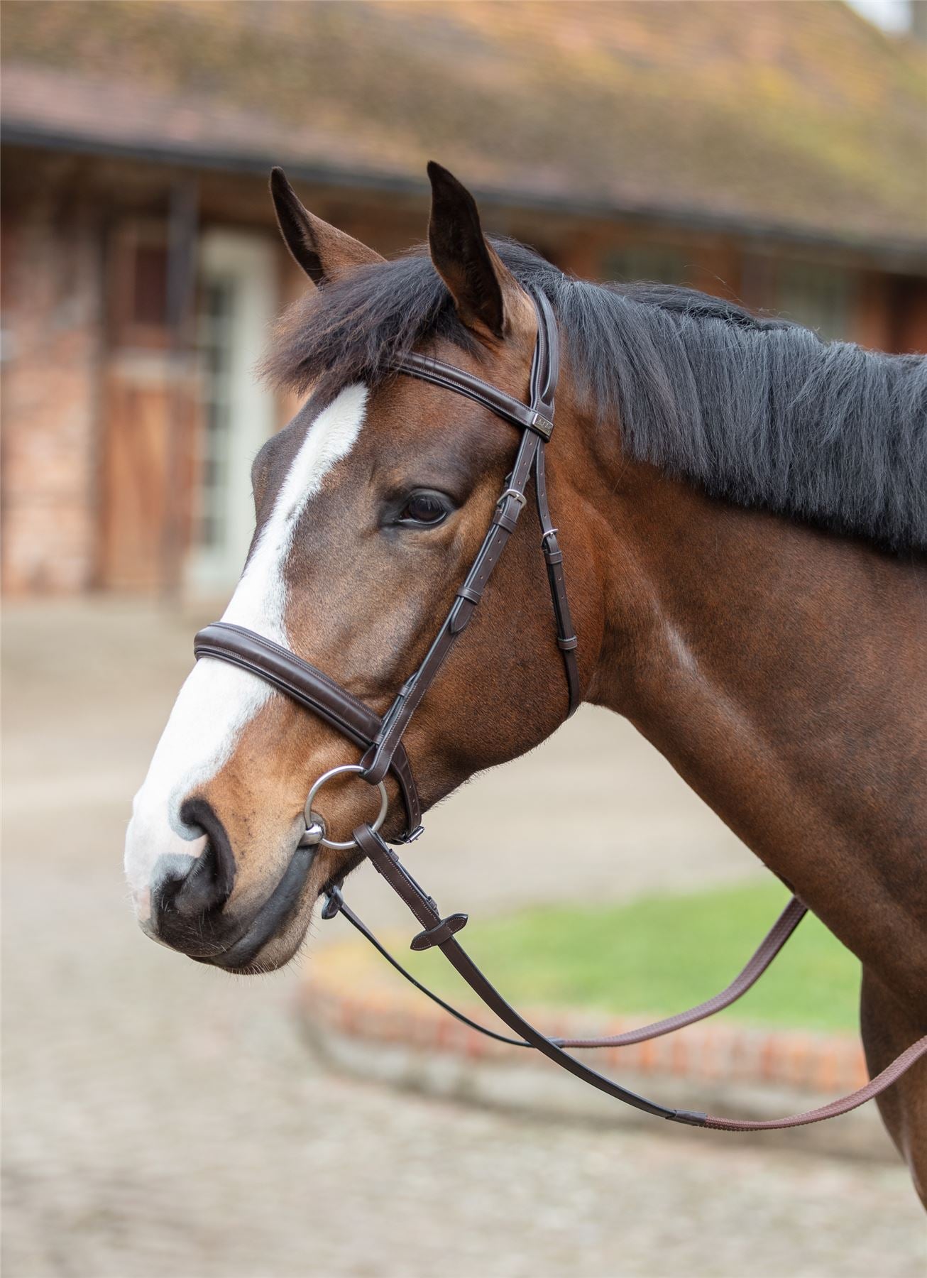 Mark Todd Padded Cavesson Bridle - Just Horse Riders