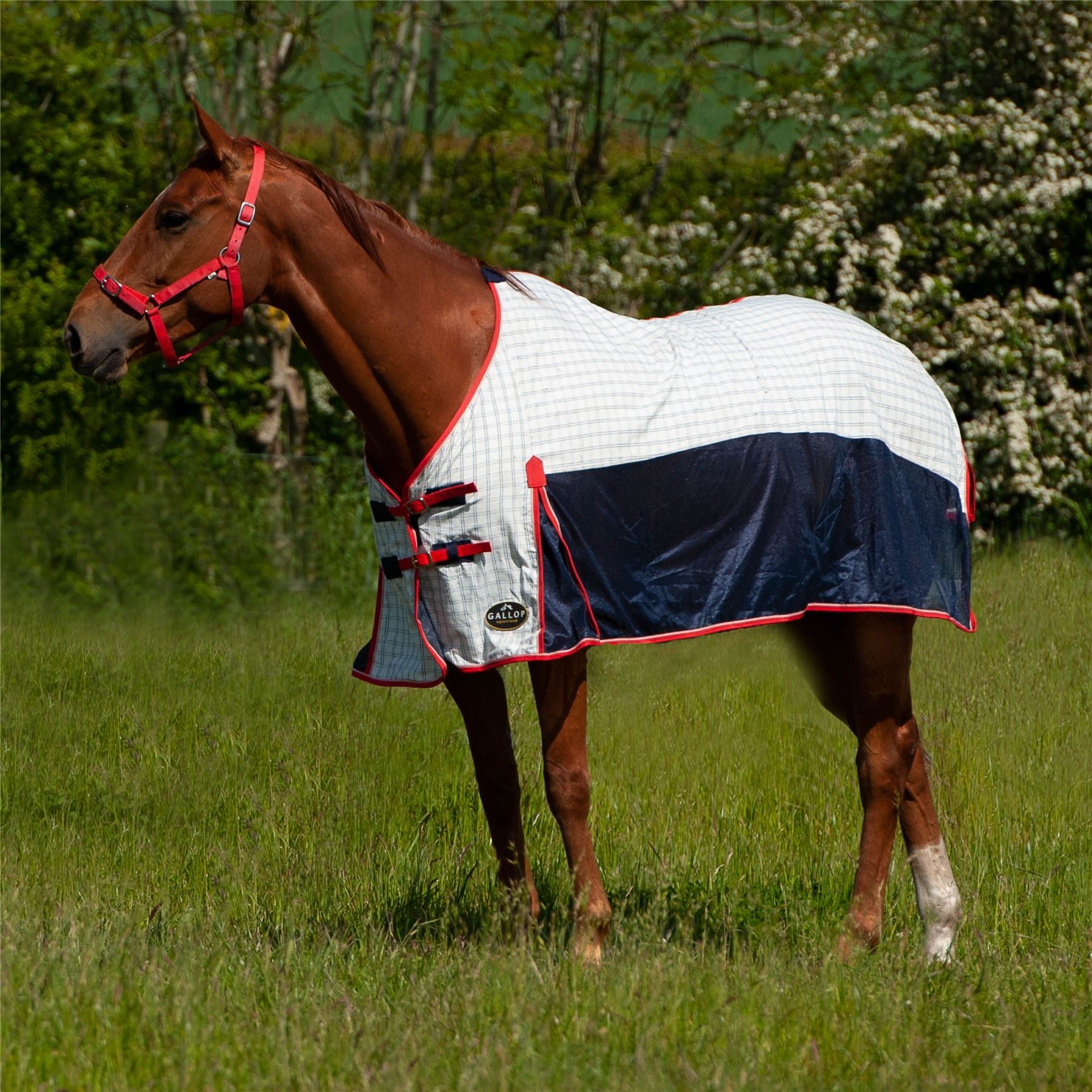 Gallop Equestrian Air Mesh Summer Sheet - Just Horse Riders