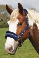 Rhinegold Logo Headcollar Fleece Trim - Just Horse Riders
