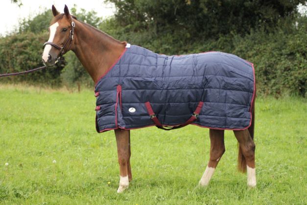 JHL Essential Mediumweight Stable Rug - Just Horse Riders