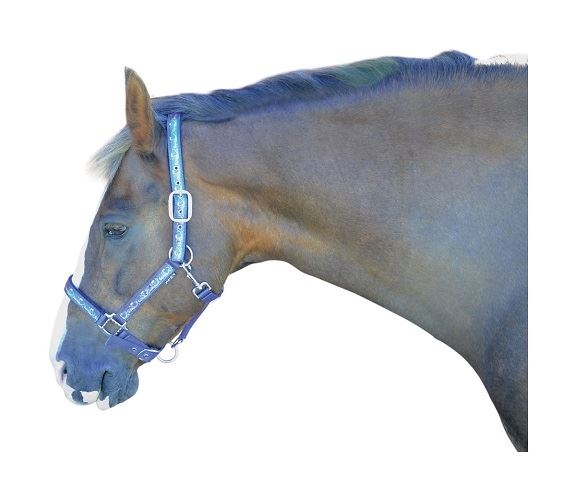 Hy Pony Love Head Collar - Just Horse Riders