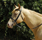 Windsor Plain Bridle - Just Horse Riders