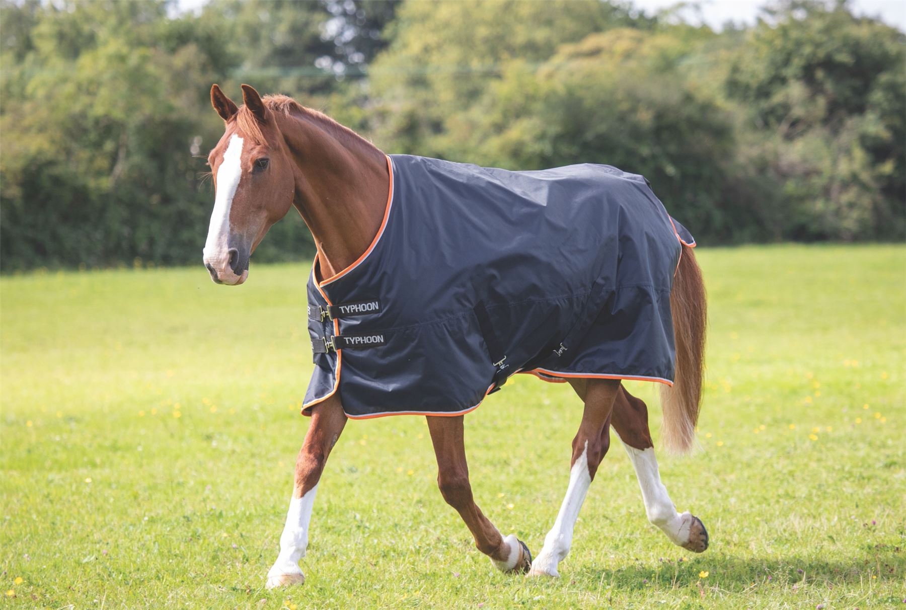 Shires Typhoon 200 Turnout Rug - Just Horse Riders